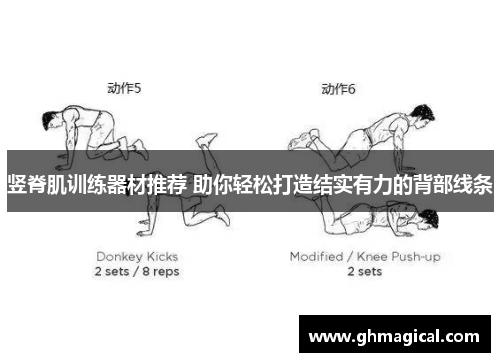 竖脊肌训练器材推荐 助你轻松打造结实有力的背部线条